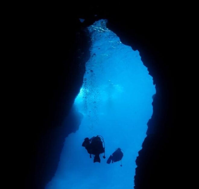 Chania: 2 Boat Dives for Certified Divers - Customer Experience and Reviews