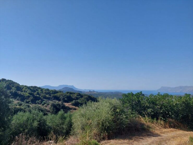 Chania: 5-Wine Tasting With Locals in Village Near Kissamos - Activity Details
