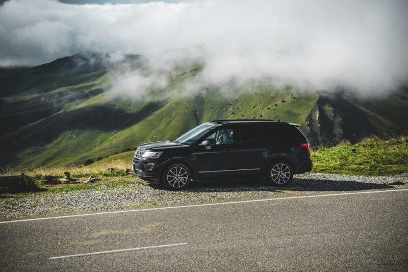 Chania: Ancient Olive Tree, Olive Museum & Biolea Mill Tour - Discovering the Heart of Crete’s Olive Culture