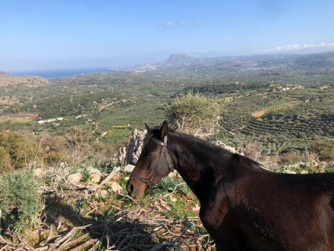 Chania Area: Cooking Class at a Farm in Stylos Village - Booking Information