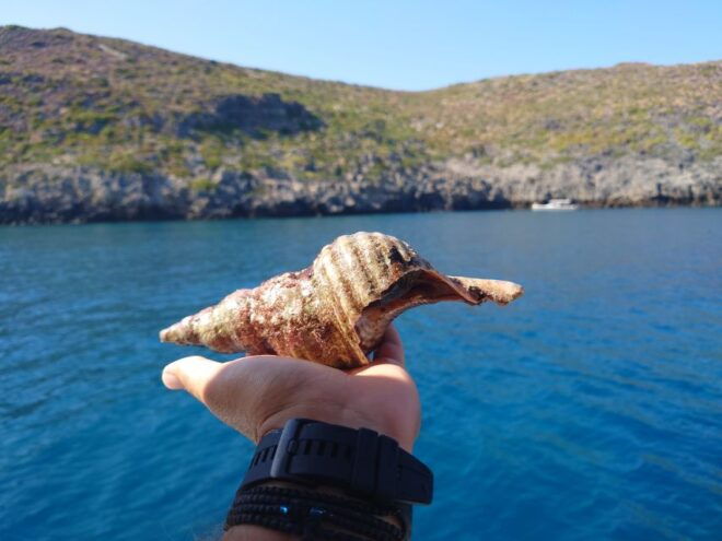 Chania: Boat Cruise to Agioi Theodoroi and Lazaretta Island - Inclusions