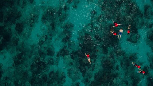 Chania: Boat Trip With Guided Snorkeling Tour - Customer Experiences