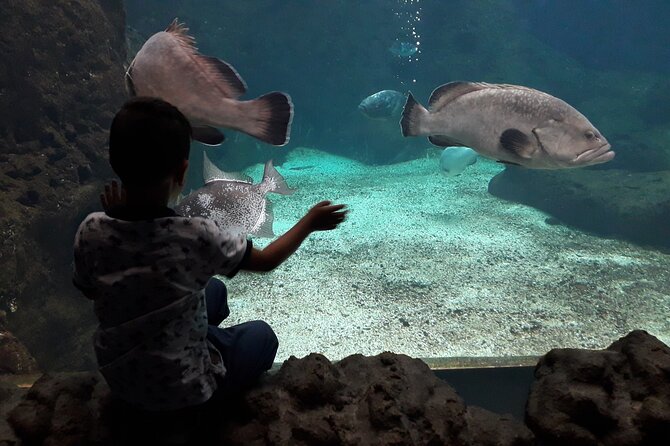 Chania Childrens Day CretAquarium Dinosauria and Labyrinth Park - Tips for a Memorable Childrens Day Experience