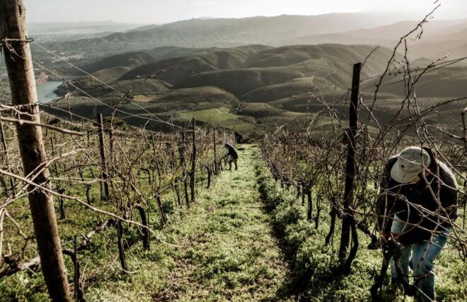 Chania Countryside/Winery Visit With a Private Driver - Booking Information