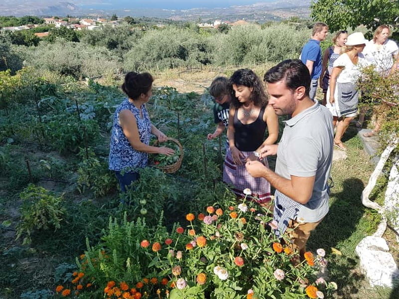 Chania: Cretan Wine, Olive Oil & Cooking Workshop - Good To Know