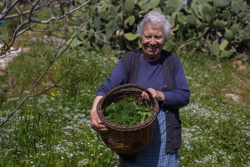 Chania: Cretan Wine, Olive Oil & Cooking Workshop - What You Can Expect from the Tour