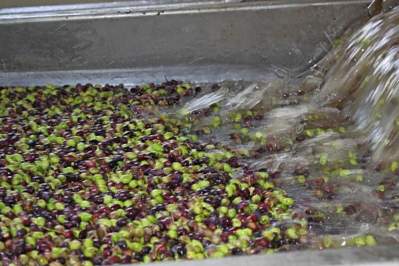 Chania: Cretan Wine, Olive Oil & Cooking Workshop - FAQ