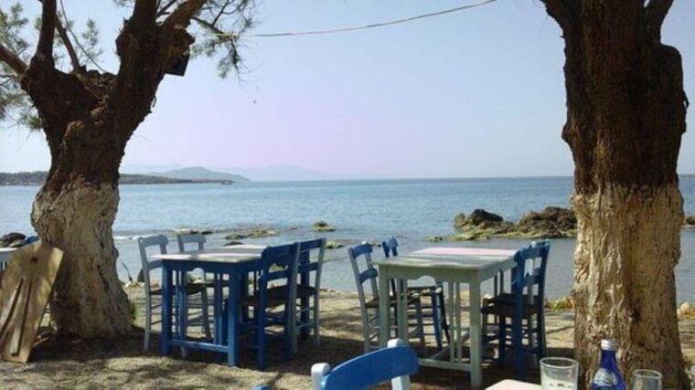 Chania: Discover Cretan grape varieties by the sea - The Setting: Seaside Relaxation