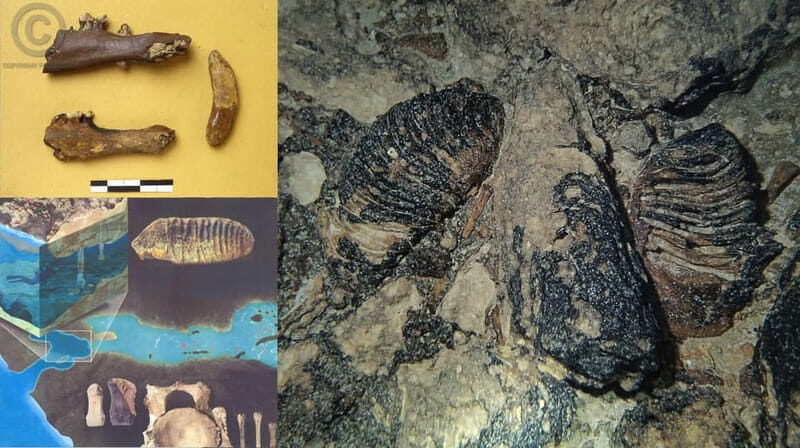 Chania: Diving Trips for Certified Divers - Practical Details and What’s Included