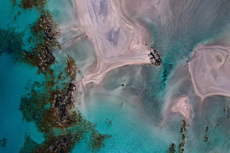 Chania: Elafonisi Beach Day Trip with Local Honey Factory - Who Would Love This Tour?