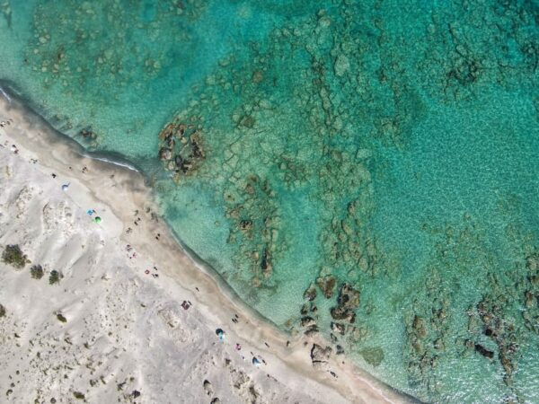 Chania: Elafonisi Bus Trip With Free Time and Stop in Elos - Family-Friendly Features