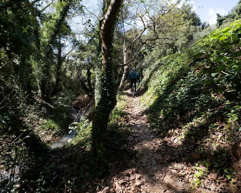 Chania: Electric Mountain Bike Tour - Good To Know