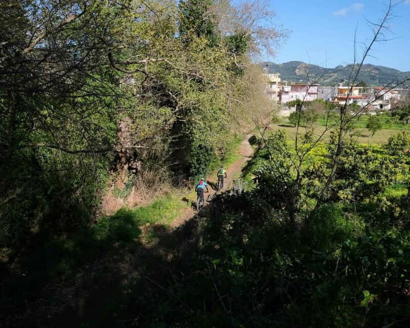 Chania: Electric Mountain Bike Tour - A Close Look at the Experience