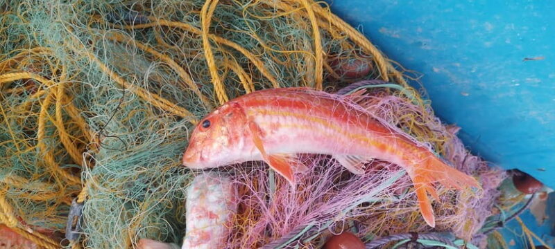 Chania Fishing with Nets: Catch&Cook with a Local Fisherman - The Journey to the First Fishing Spot