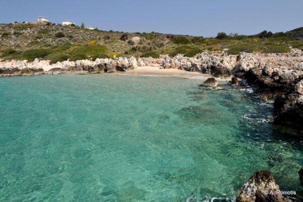 Chania: Full-Day Sailing Cruise With Lunch - Booking Information