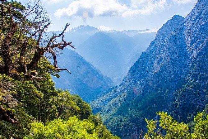 Chania Full-Day Samaria Gorge Easy Tour - Crete - Inclusions