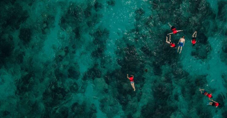 Chania: Guided Snorkeling and Boat Excursion - Good To Know