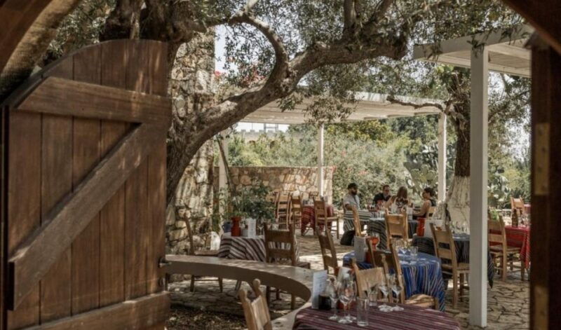 Chania Luxuries: Secrets of Wine and Olive Oil Tastings - Olive Oil and Wine: Crete’s Liquid Gold  