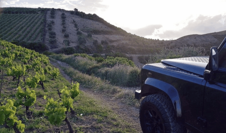 Chania Luxuries: Secrets of Wine and Olive Oil Tastings - Practical Details and What to Expect  