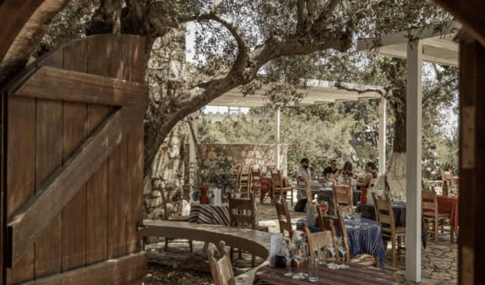 Chania Luxuries: Secrets of Wine and Olive Oil Tastings - FAQs  