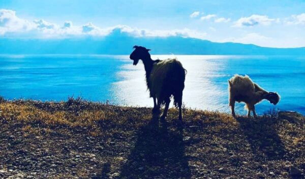 Chania Luxury Jeep Safaris: Balos Beach. A Lagoon For Bliss. - Itinerary