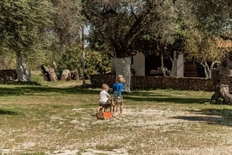 Chania Luxury Jeep Safaris: Manousakis Vineyard & Winery - Experience