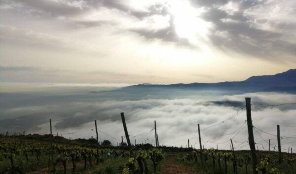Chania Luxury Jeep Safaris: Manousakis Vineyard & Winery - Directions