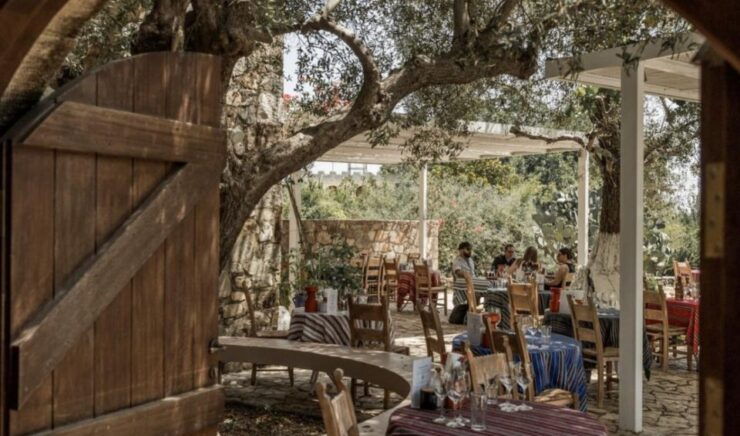 Chania Luxury Jeep Safaris: Wine & Olive Oil Tasting Secrets - Experience Highlights