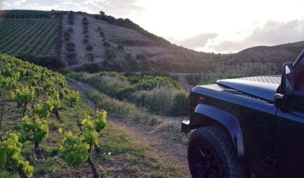 Chania Luxury Jeep Safaris: Wine & Olive Oil Tasting Secrets - Common Questions