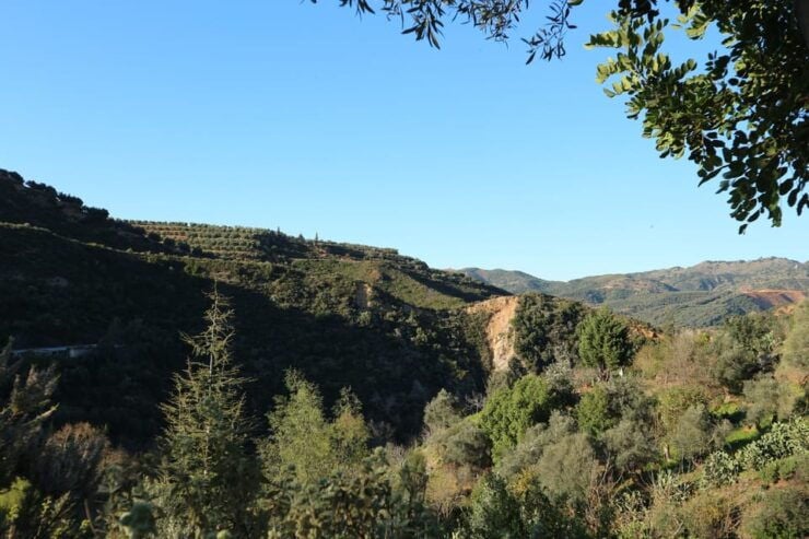 Chania: Nature Road Trip With Botanical Garden and Lunch! - Detailed Itinerary