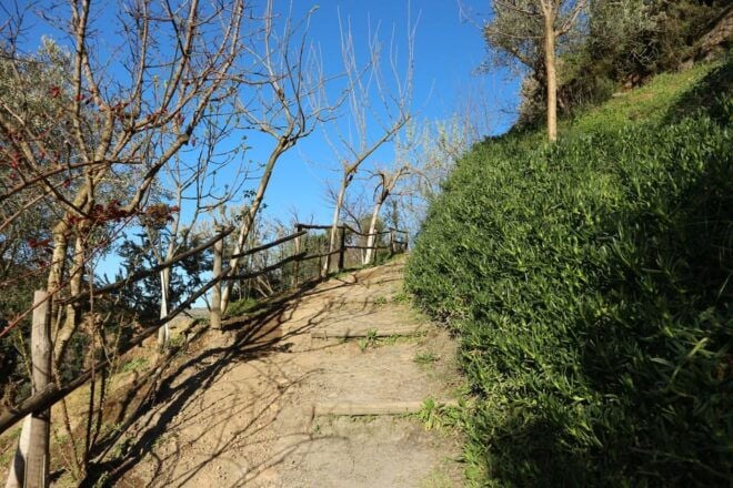 Chania: Nature Road Trip With Botanical Garden and Lunch! - Traditional Cretan Lunch