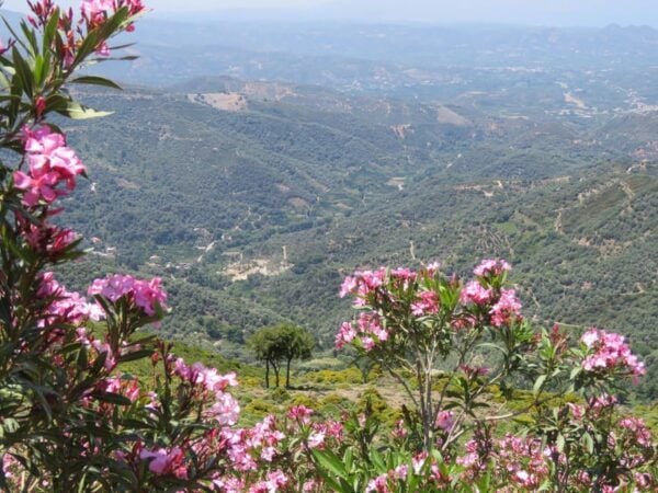 Chania: Nature Road Trip With Botanical Garden and Lunch! - Booking Information