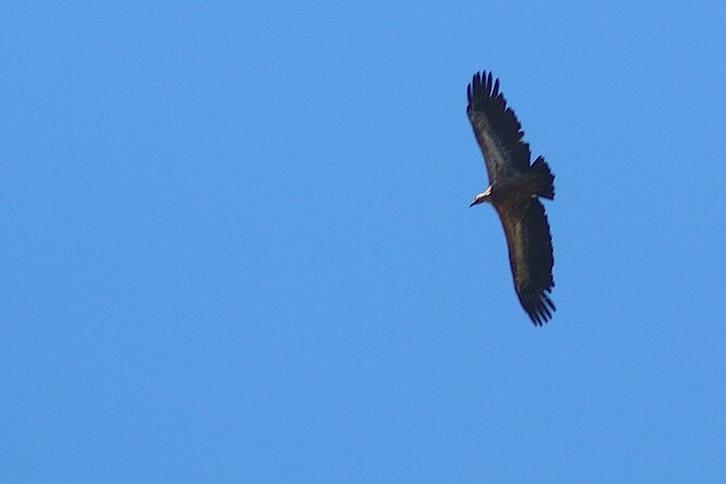 Chania Nature & Villages, White Mountains & Unique Cretan Lunch - Indulging in a Unique Cretan Lunch