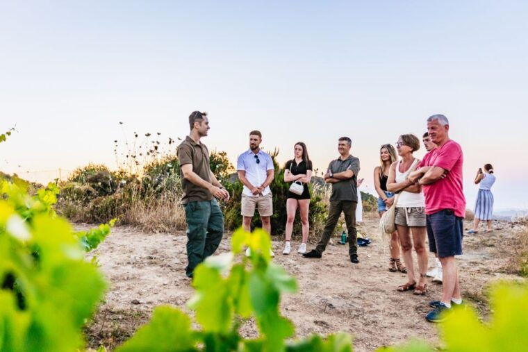 Chania: Off-Road Tour at Sunset - Value for Money and Final Thoughts