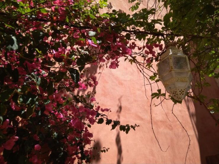 Chania Old Town: Artisans & Sightseeing Private Walking Tour - Tour Duration & Guide Availability