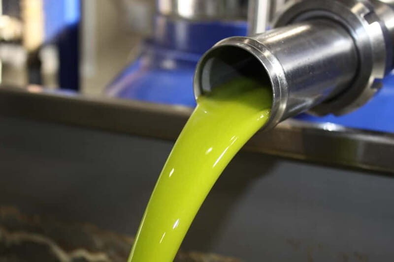 Chania: Olive Harvest Day Trip with Guide & Transport - Why This Tour Works Well