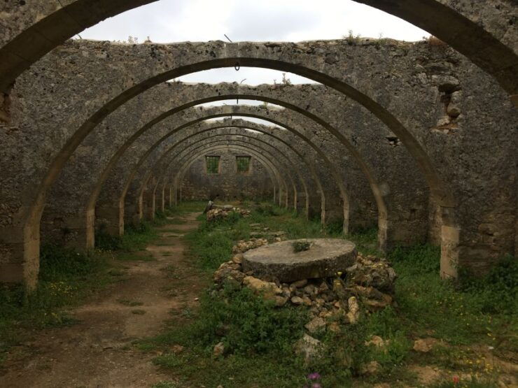 Chania Olive Oil Tour: Olive Oil Tasting & Bio Fruits Tour - Free Cancellation and Flexible Booking Options