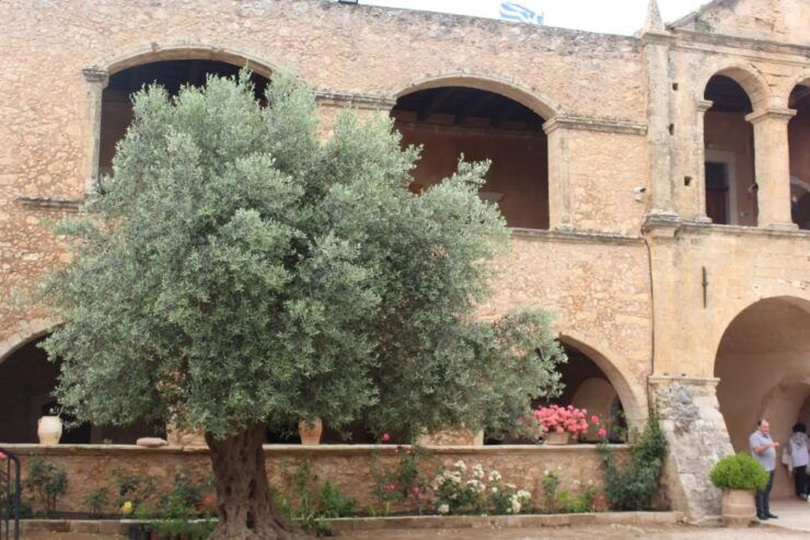 Chania Olive Oil Tour: Olive Oil Tasting & Bio Fruits Tour - Knowledgeable and Local Tour Guide