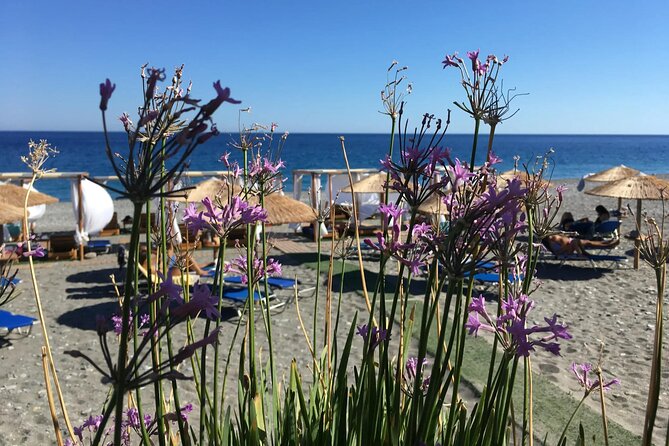 Chania Pink Beaches Private Tour: Elafonisi & Falassarna - Meeting and Pickup