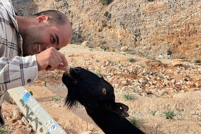 Chania Pink Beaches Private Tour: Elafonisi & Falassarna - Pickup Points