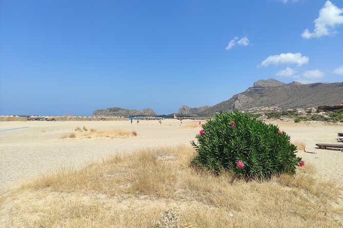 Chania Pink Beaches Private Tour: Elafonisi & Falassarna - Common Questions