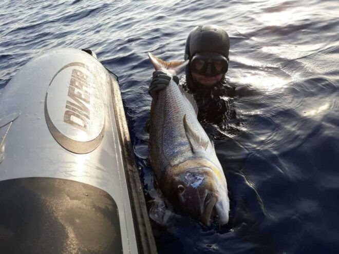 Chania: Private Boat Fishing Trip - Customer Reviews