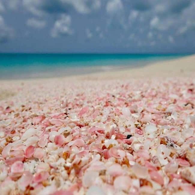 Chania: Private Jeep Safari to Balos, Falassarna & Elafonisi - Practical Details and What to Pack