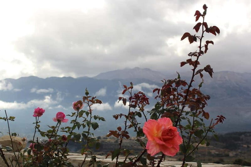 Chania: Private Sunset Sightseeing Tour with Historian Guide - An In-Depth Look at the Chania Sunset Tour