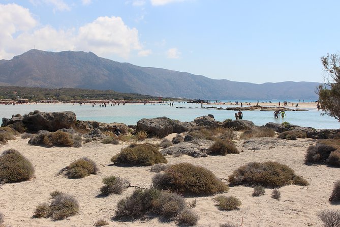 Chania Private Tour To Elafonissi and Falasarna - Tour Guide