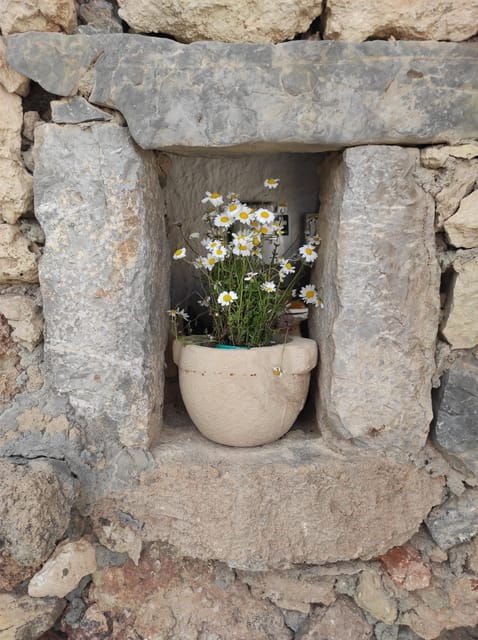 Chania: Private Walking Tour: History, Sights, Food & Senses - Good To Know