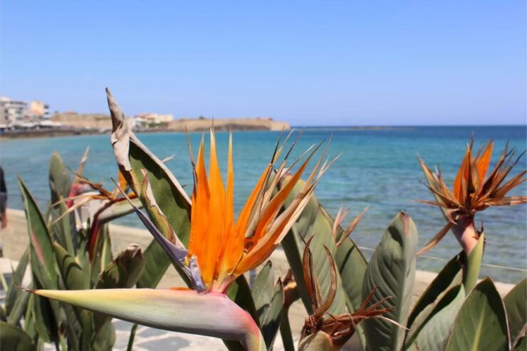 Chania: Private Walking Tour: History, Sights, Food & Senses - Historical Insights and Significance