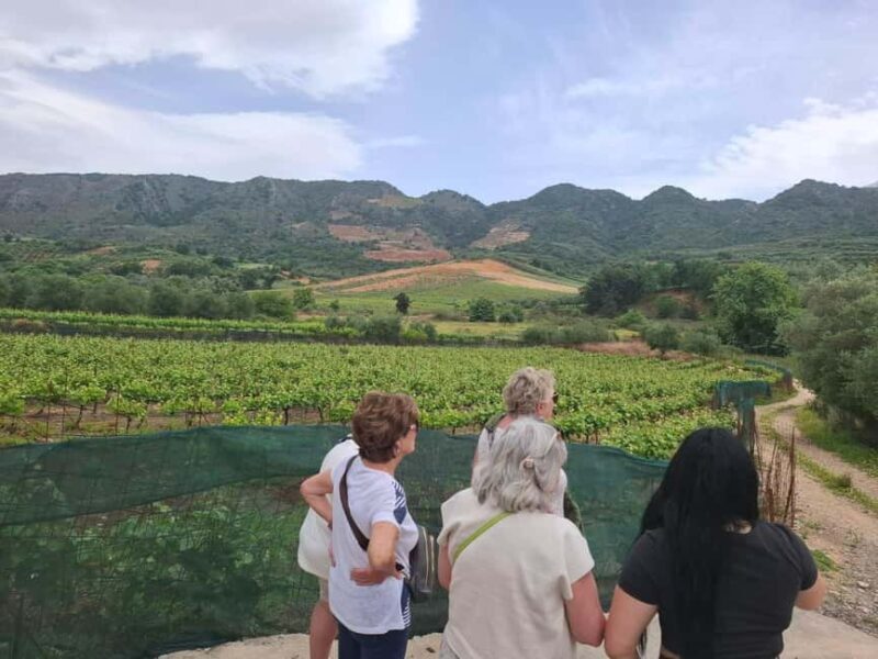 Chania Private Wine Tasting Tour & Theriso Village Visit - Practical Details and How It Works