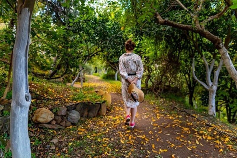 Chania Safari & Botanical Garden  Nature & Aromas Tour - An In-Depth Look at the Chania Safari & Botanical Garden Tour