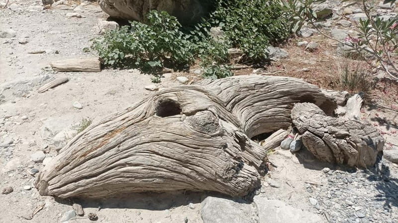 Chania: Samaria Gorge Private Transfer - Good To Know